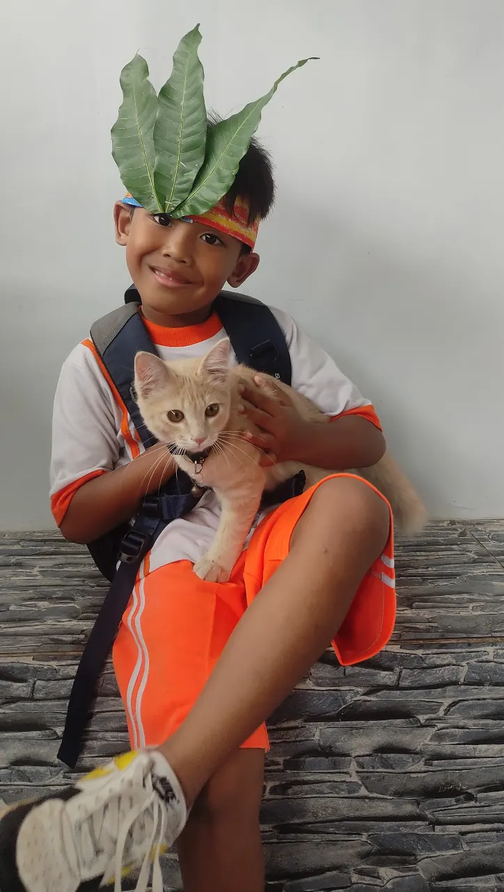Kucing Sering Minta Makan? Begini Cara Mengatur Jadwal Makan yang Tepat