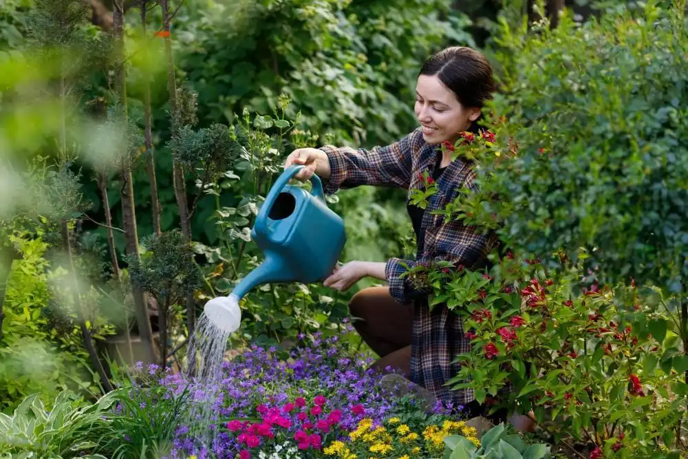 Berkebun di Rumah